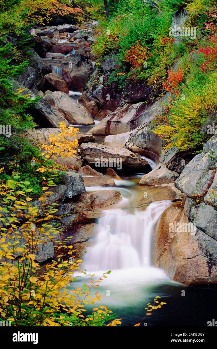 Flusso e piccole cascate che scorre tra rocce, il Flume, Franconia Notch, New Hampshire, STATI UNITI D'AMERICA Foto Stock