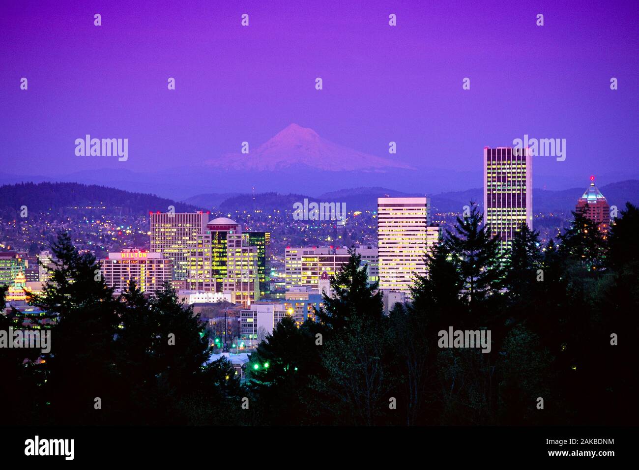 Skyline di Portland con grattacieli e Monte Cofano, Oregon, Stati Uniti d'America Foto Stock