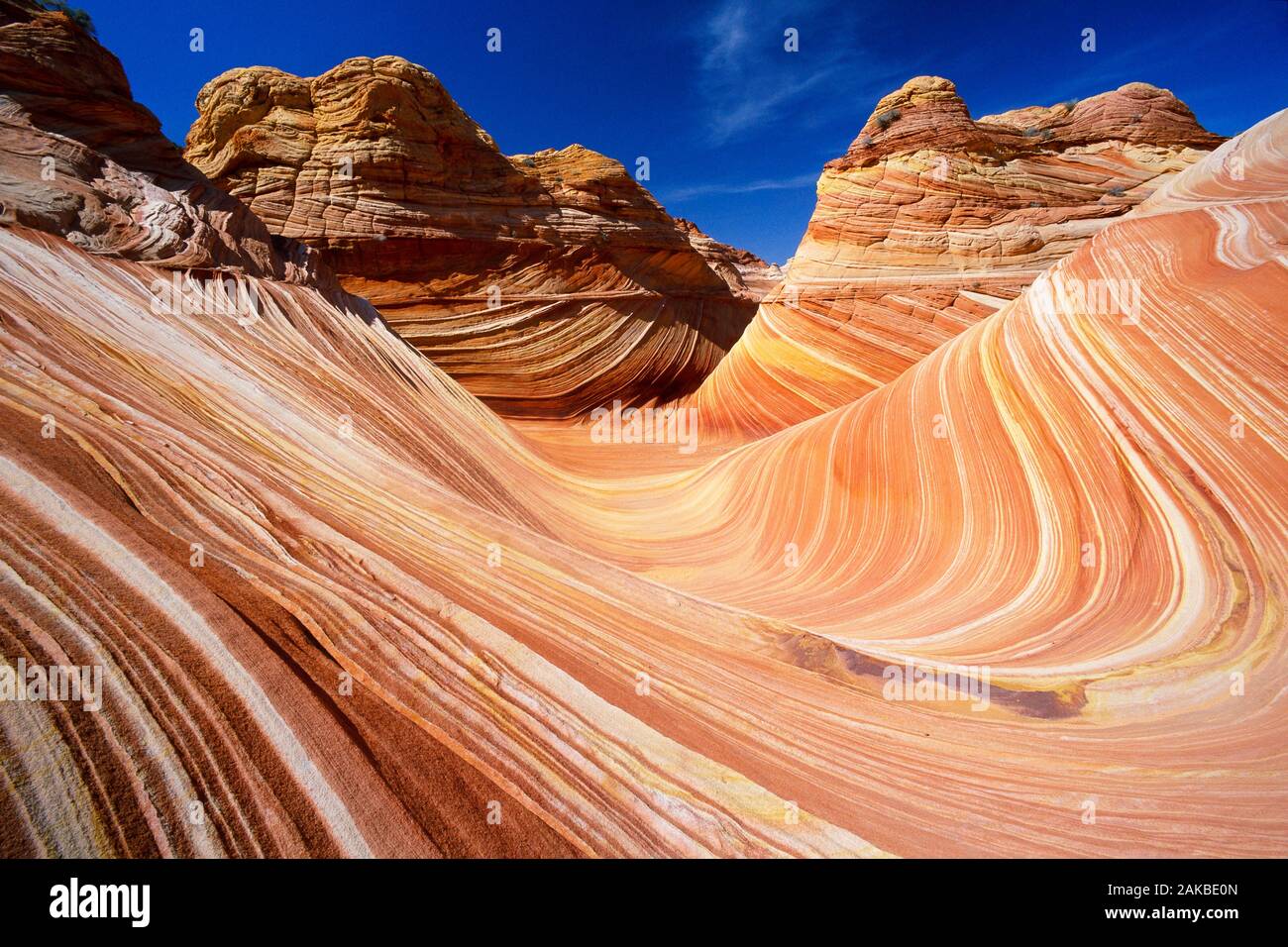 Paesaggio con pietra arenaria liscia formazioni rocciose in Paria Canyon-Vermilion Cliffs Wilderness Area, Arizona, Stati Uniti d'America Foto Stock