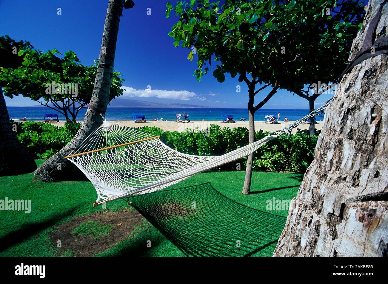 Amaca in giardino da spiaggia, Maui, Hawaii, STATI UNITI D'AMERICA Foto Stock