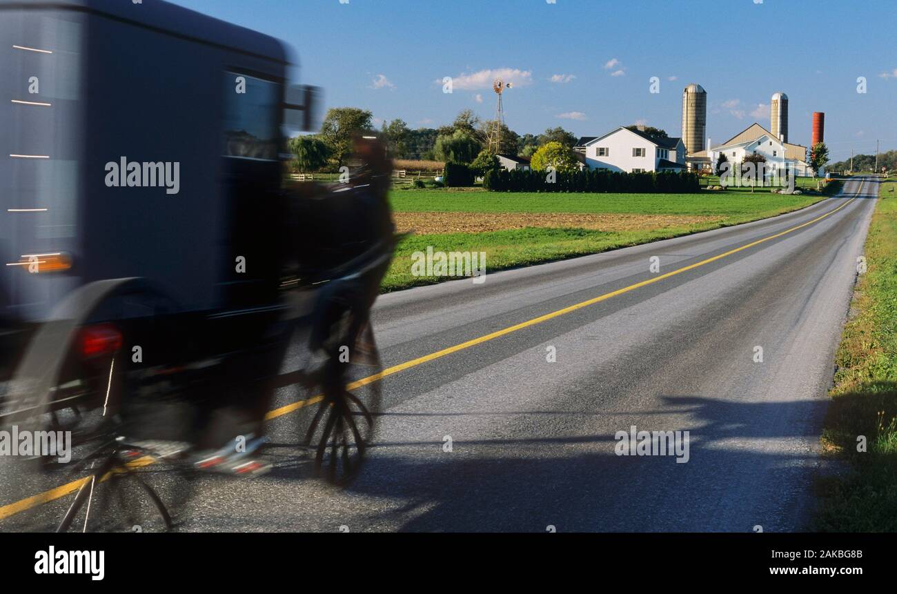 Amish in carrozza sulla strada di campagna, Lancaster County, Pennsylvania, STATI UNITI D'AMERICA Foto Stock