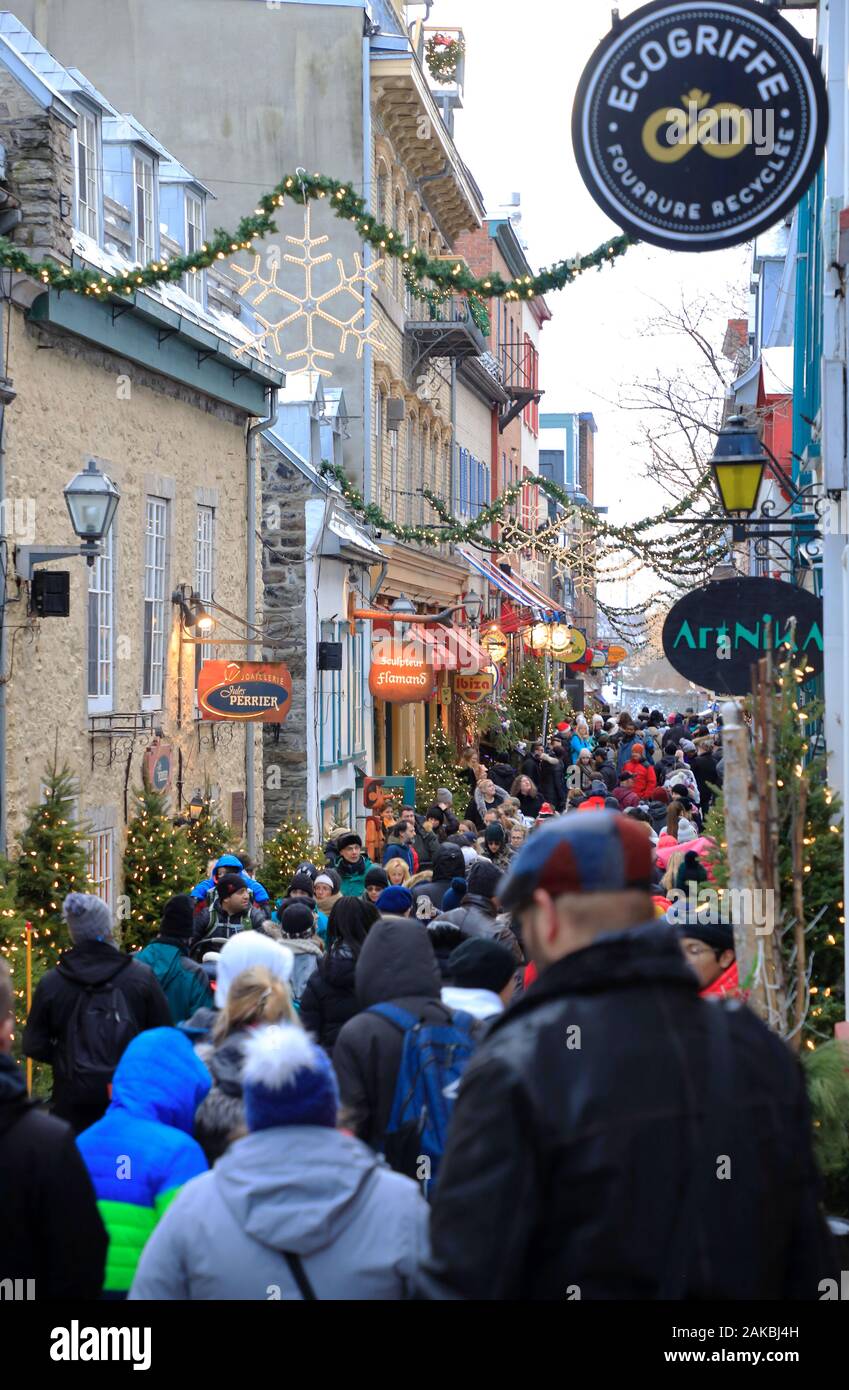 Rue du Petit-Champlain con vacanze di natale decorazione in Città Bassa della Vecchia Québec.Quebec City.Québec.Canada Foto Stock