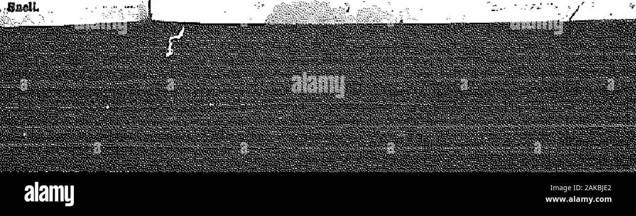Il grido di guerra . d Vice Bandmaster Bert II wa* un grand !n^ 1° ,? "D- Biggs. Gli dèi presenza .vas sentiti tutti i pro^mmehnsgn Snowden^ Ht ^ j; ^ Cfcd un voto di "l,l'anta. *° jSfch ihe noniM erano guidati da Bandmaster Jtid II angolo., i "° ^i1™ nnd ha cantato una solokhU usuali motivi* I per un repcti*A su Sundayi in Parr, molto: gran numero prese dal Vice Bandmaster. Lunedì nfght un musical festi-val è stato dato. La St Thomas Band e Song-sters uniti e trascorso un pro-. notti Pop- fttahle sera insieme in forma:.y Ensign e &f un banchetto e un musical wmd-up.come intitolata, che si è dimostrato essere un Foto Stock