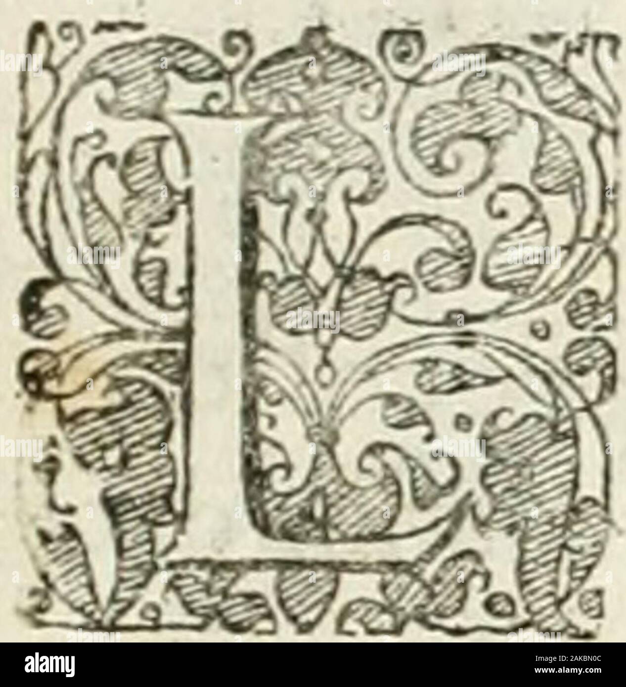 Combattere d'honneur concerte par les IIIIelemens sur l'heureuse entrée de Madame la duchesse de la Valette en la ville de Metz : ensemble la resiouyssance publicqconcertee par les habitans de la ville et du pays sur le mesme sujet . CHAR XIX Le Fdlin que la Ville Ût à Madame auee Udellein de l^ârion ou Paftorelle reprefen-tée fur le fubieâ: de Ton entrée & fejour en la Ville de Metz e Dodc Symmache grand homme en tont hors ce qui ouchoitfacrcancemedonnevnmocdaduisaupointque icfaifoiseftacdemectrelcfccauacerecueil&menfeienlntque/./W"o".y?;,/,"^yr",co""/^"mcfemb " sy",",4ch. lik P ^^t^e banchetto de Foto Stock