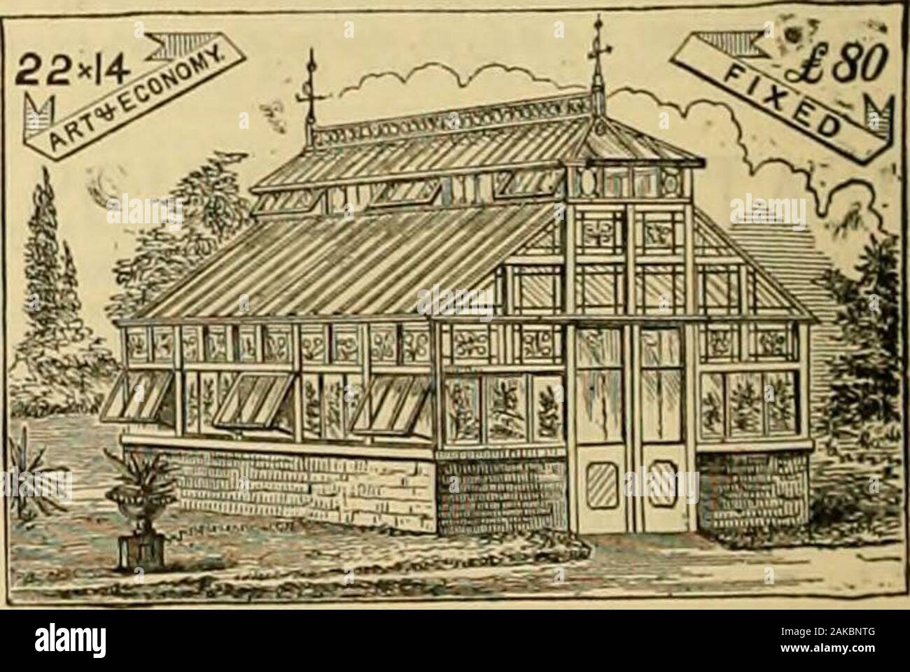 I giardinieri' cronaca : un settimanale illustrato ufficiale di orticoltura e materie affini . BECKETT BROS., CHELMSFORB.. ThoroughlyPracticalHothouseBuilders e ingegneri di riscaldamento.serre di ogni descrizione in legno o ferro, eretta inany parte del regno. La fabbricazione di prima classe e di thevery migliori materiali tlie a prezzi più bassi possibile. I listini dei prezzi. I piani e le stime Fn-e. Salva il tuo fuoco e mantenere una temperatura fissa sotto vetro da usingFRIGI DOMO, fatta di capelli preparati andwool; una perfetta non conduttore di freddo. PRQTECT^ ^LANTSj BENDAGGIO FRIGI DOMia ri,£GI5strate ? ^ Il commercio MAR PREZZO rOR Foto Stock