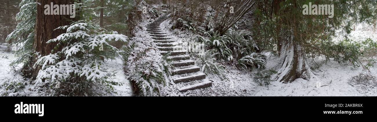 Snowy passi nel parco, Seattle, Washington, Stati Uniti d'America Foto Stock