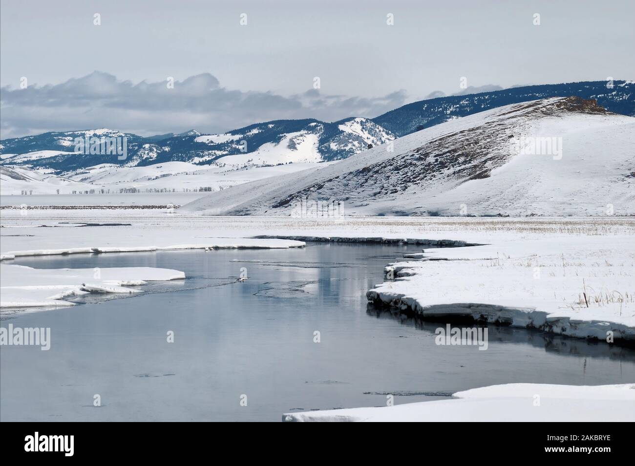 Acque congelate sul fiume Snake nel Wyoming Foto Stock