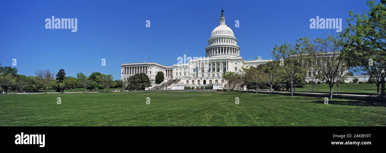 Stati Uniti d'America, Washington DC, basso angolo di visione del Campidoglio Foto Stock
