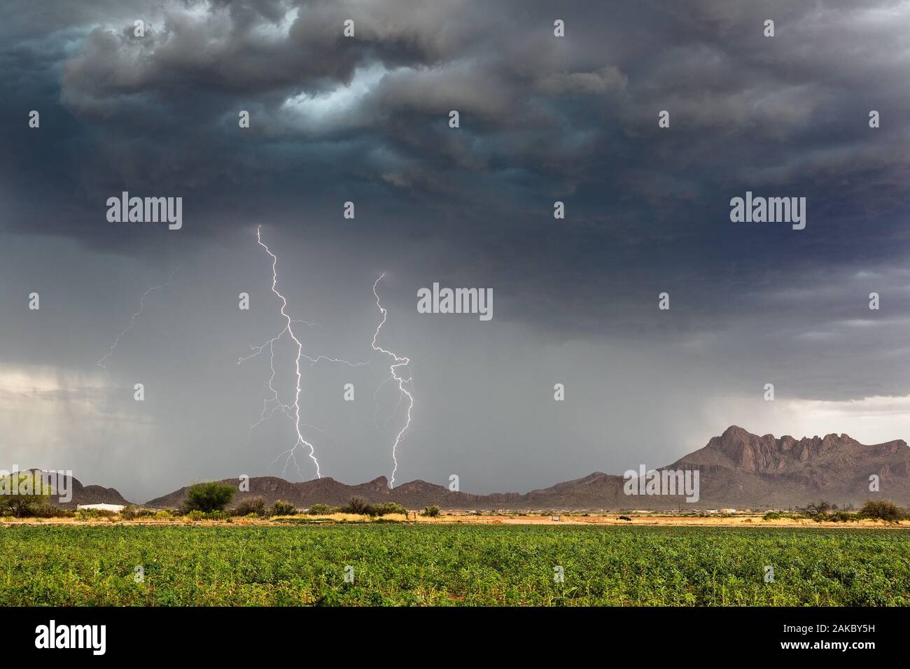 Un paio di fulmini colpiscono un temporale monsonica su Tucson, Arizona Foto Stock