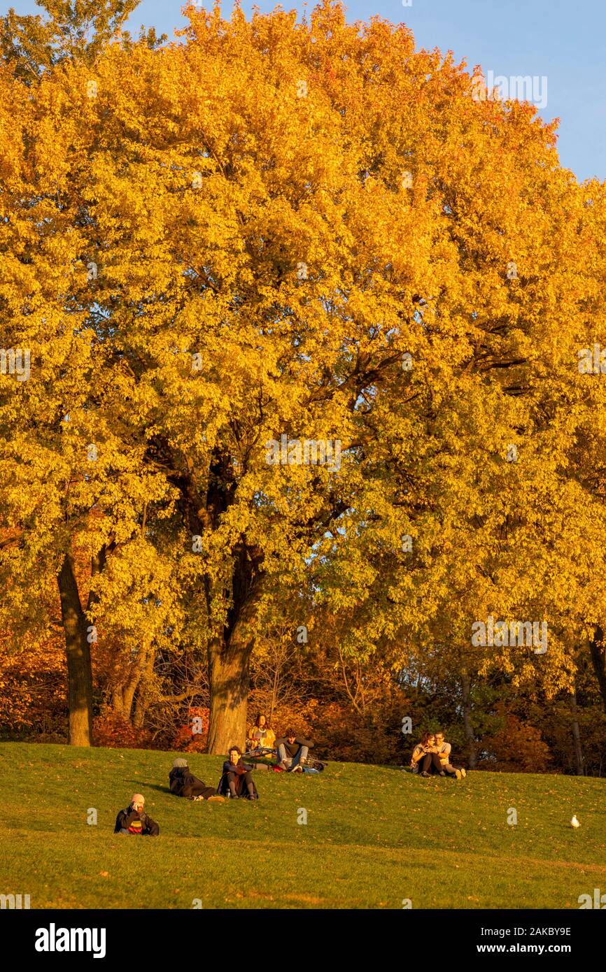 Canada, Provincia di Quebec, Montreal, Mount Royal, i colori dell'estate Indiana Foto Stock