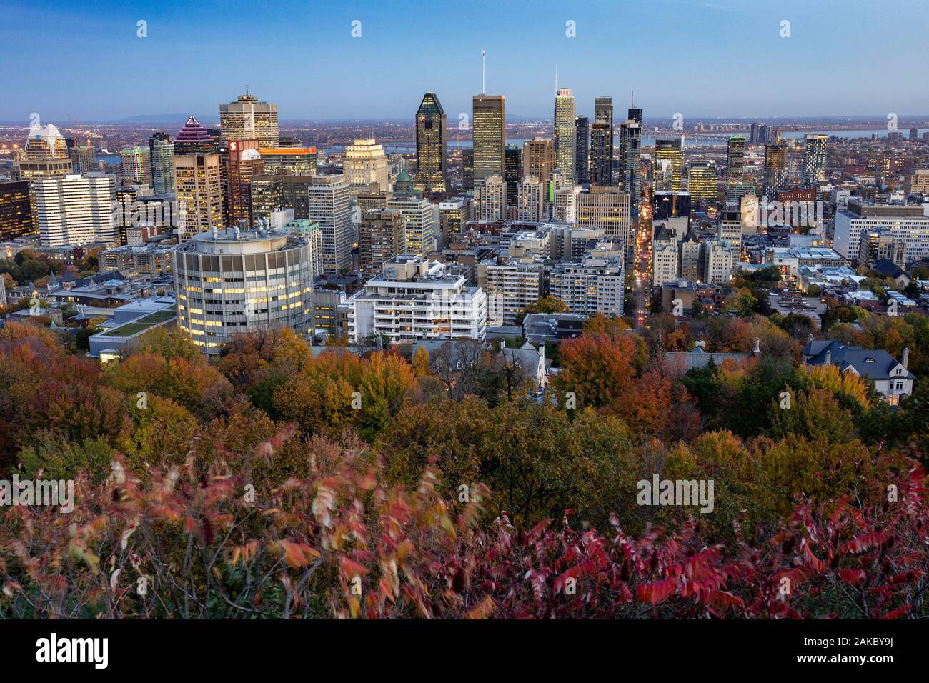 Canada, Provincia di Quebec, Montreal, Mount Royal, il centro della città e i suoi grattacieli, il murale gigante illuminato con l'effige del cantante Leonard Cohen Foto Stock