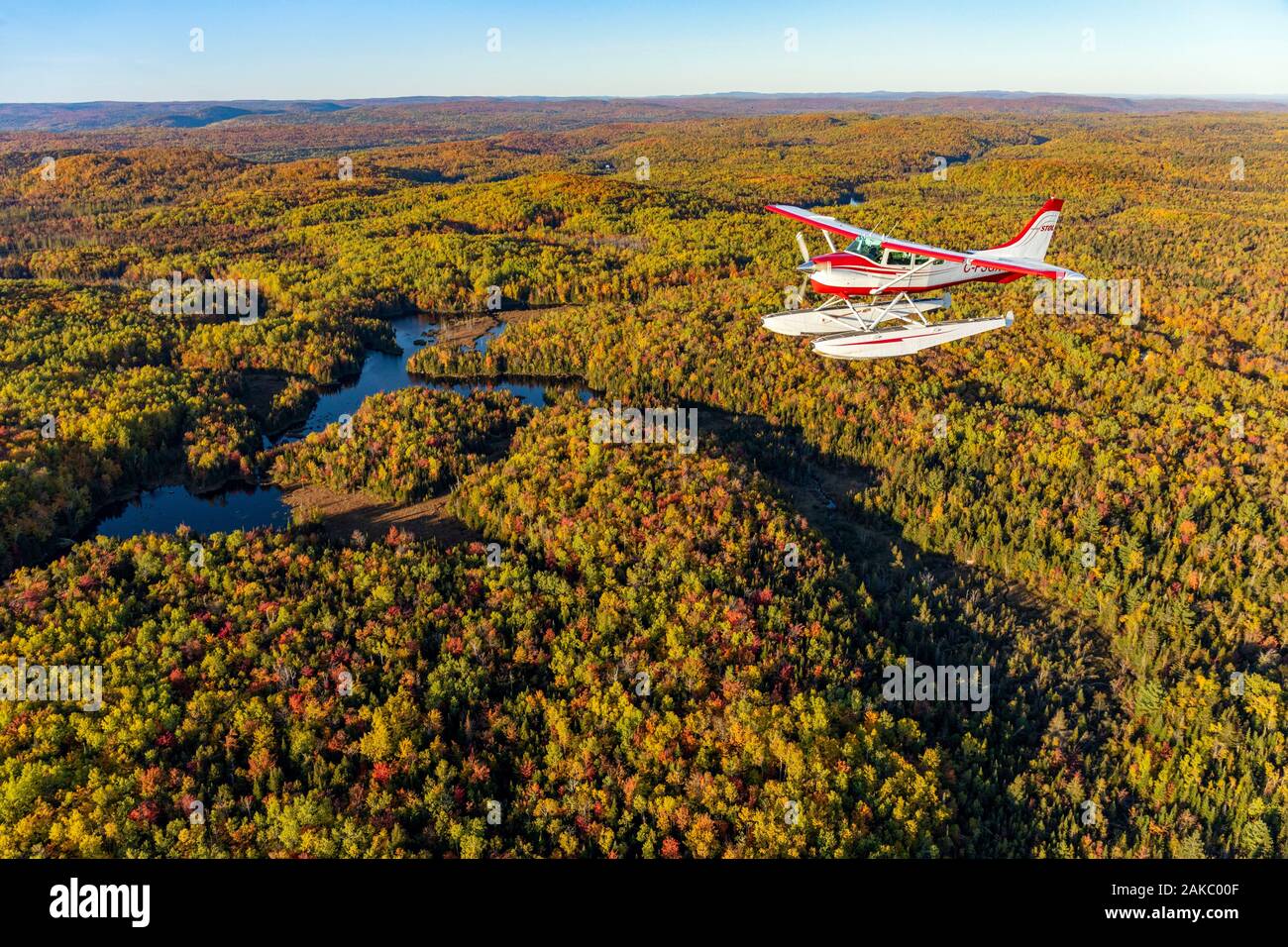 Canada, provincia del Québec, regione Mauricie, volo con Hydravion Aventure company dell India in periodo estivo, Cessna 206 sopra la foresta boreale (vista aerea) Foto Stock