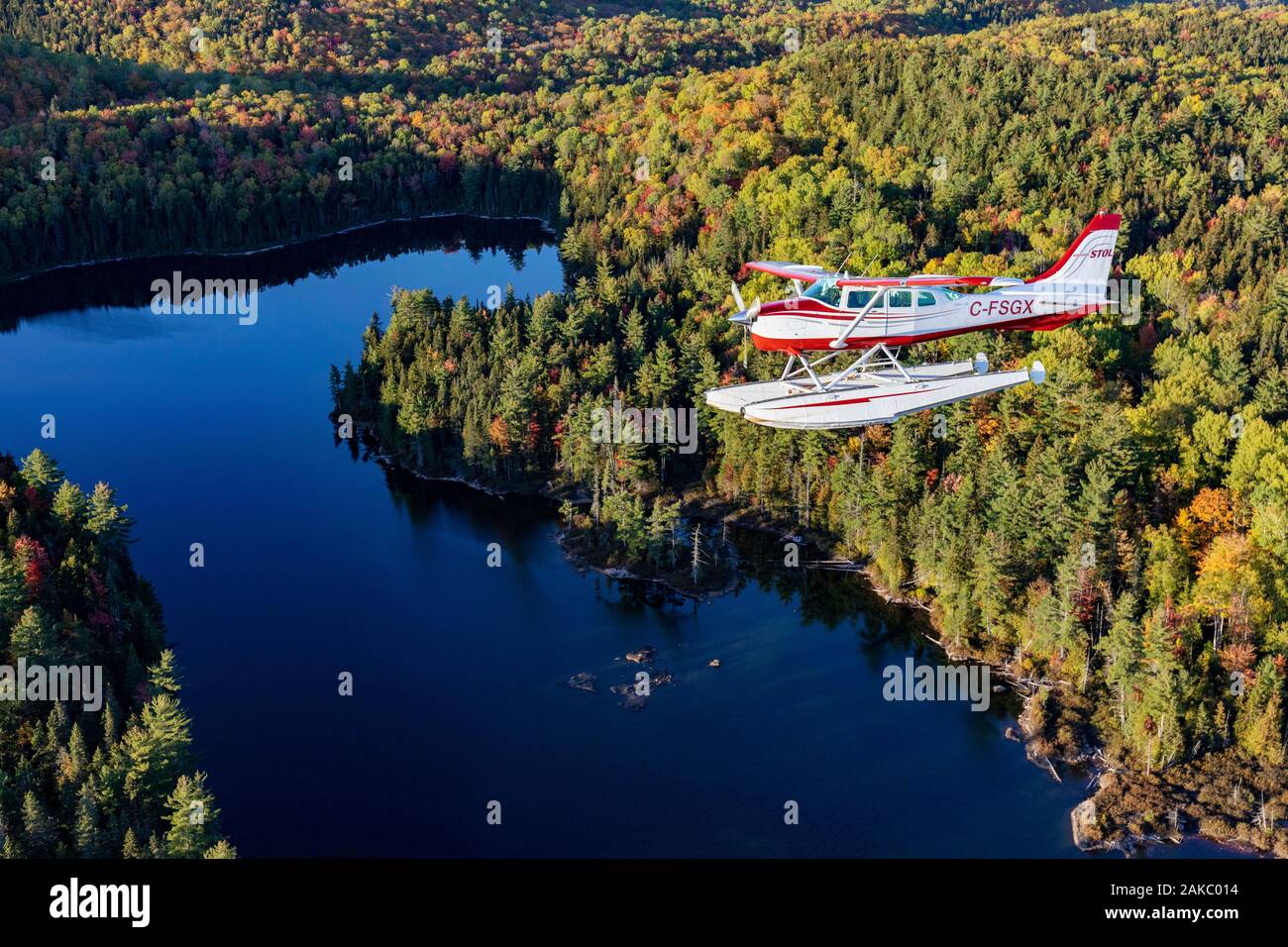 Canada, provincia del Québec, regione Mauricie, volo con Hydravion Aventure company dell India in periodo estivo, Cessna 206 sopra la foresta boreale (vista aerea) Foto Stock