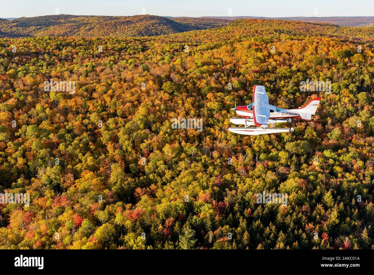 Canada, provincia del Québec, regione Mauricie, volo con Hydravion Aventure company dell India in periodo estivo, Cessna 206 sopra la foresta boreale (vista aerea) Foto Stock