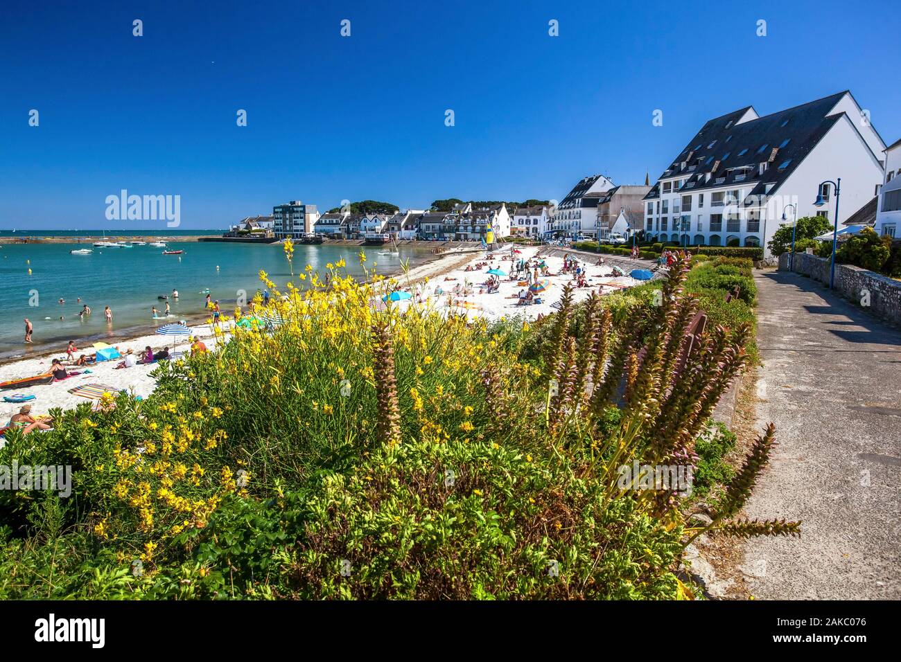 Francia, del Morbihan, della penisola di Quiberon, Saint-Pierre-Quiberon, giovani immersioni subacquee dal molo del porto di Orange Foto Stock