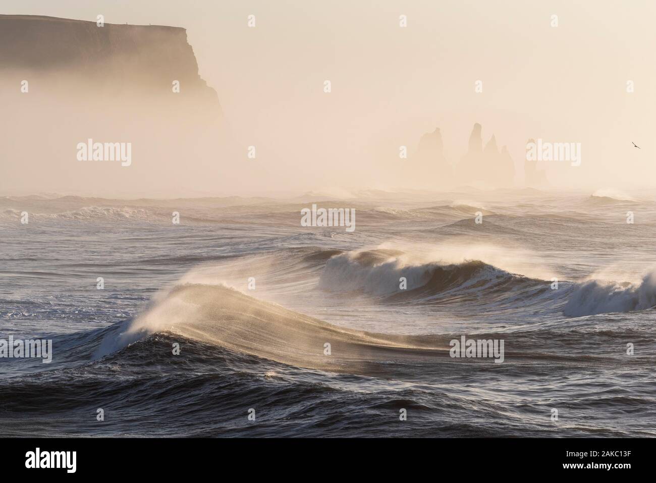 L'Islanda, Sudurland, Vik, Storm, spiagge di sabbia nera di Reynisfjara e Kirkjufara, Reynisdrangar aghi Foto Stock