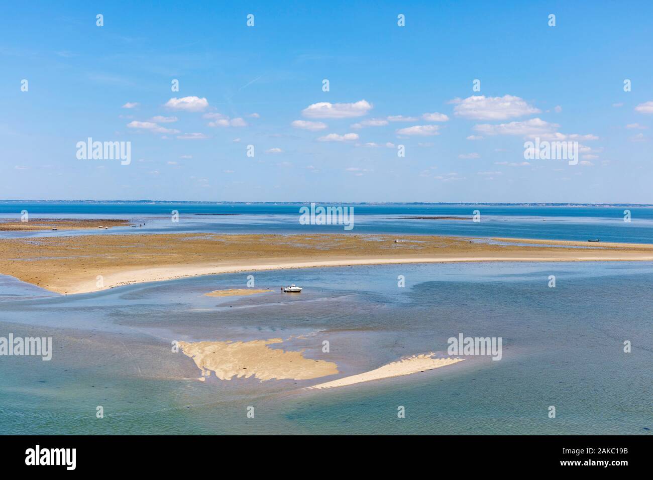 Francia, Vendee, Beauvoir sur Mer, banco di sabbia in Bourgneuf bay (vista aerea) Foto Stock