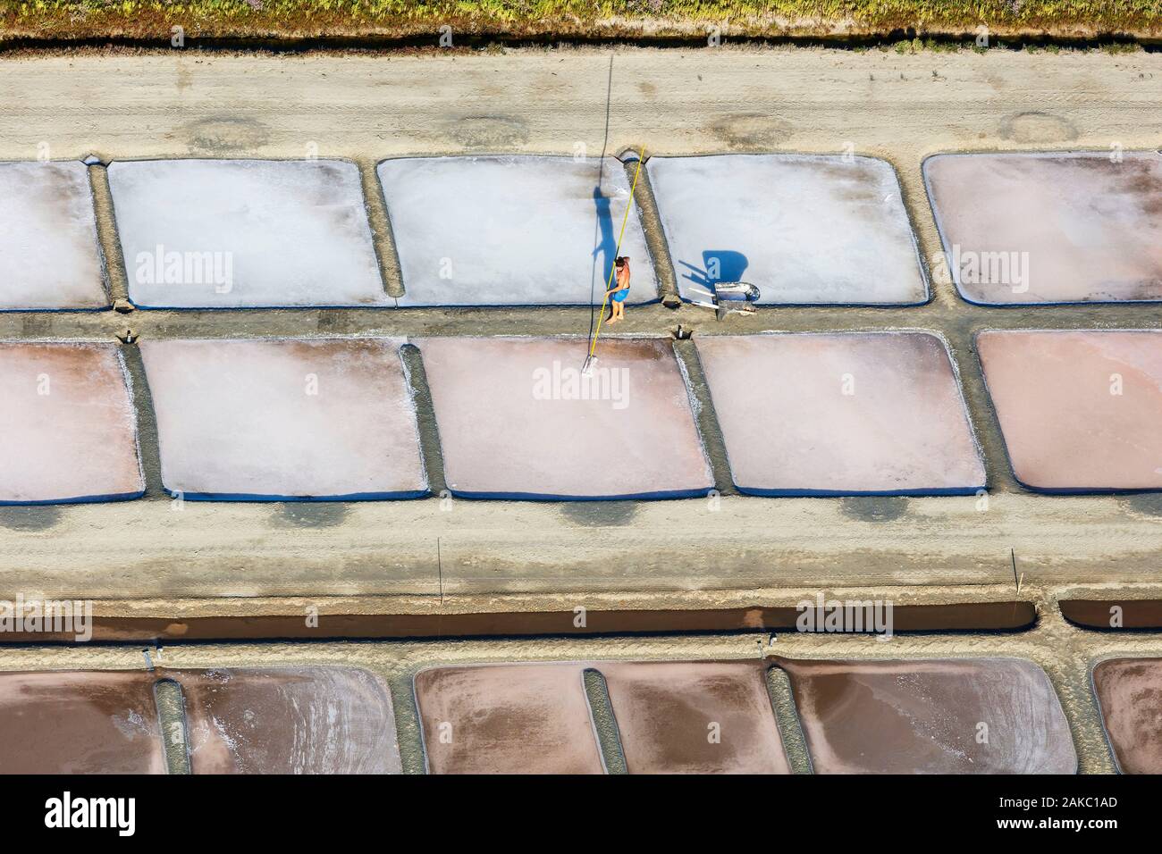 Francia, Charente Maritime, Ile de Re, Ars en Re, sale lavoratore la raccolta del fiore di sale nelle saline (vista aerea) Foto Stock