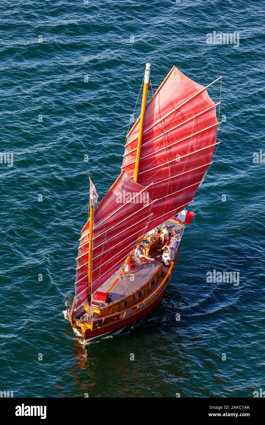 Francia, Charente Maritime, Ile de Re, Ars en Re, indesiderata (vista aerea) Foto Stock