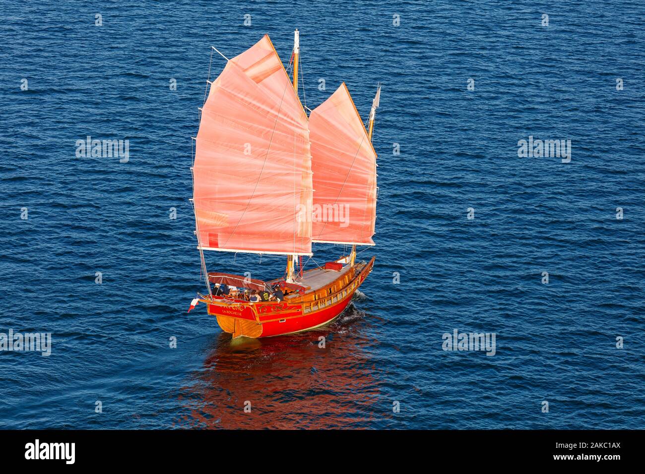 Francia, Charente Maritime, Ile de Re, Ars en Re, indesiderata (vista aerea) Foto Stock