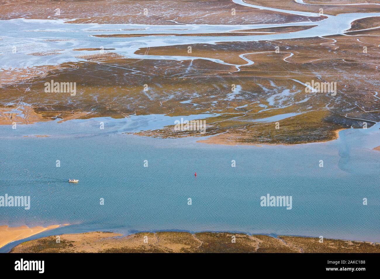 Francia, Charente Maritime, Ile de Re, Ars en Re, barca in Fier d Ars a bassa marea (vista aerea) Foto Stock