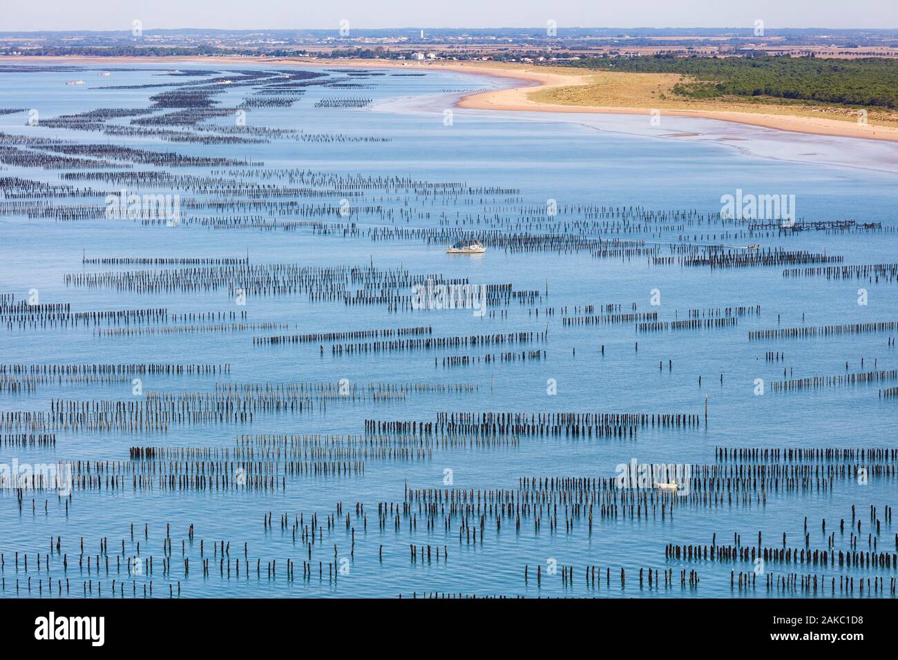 Francia, Vendee, La Faute sur Mer, le cozze barche in mitilicoltura (vista aerea) Foto Stock