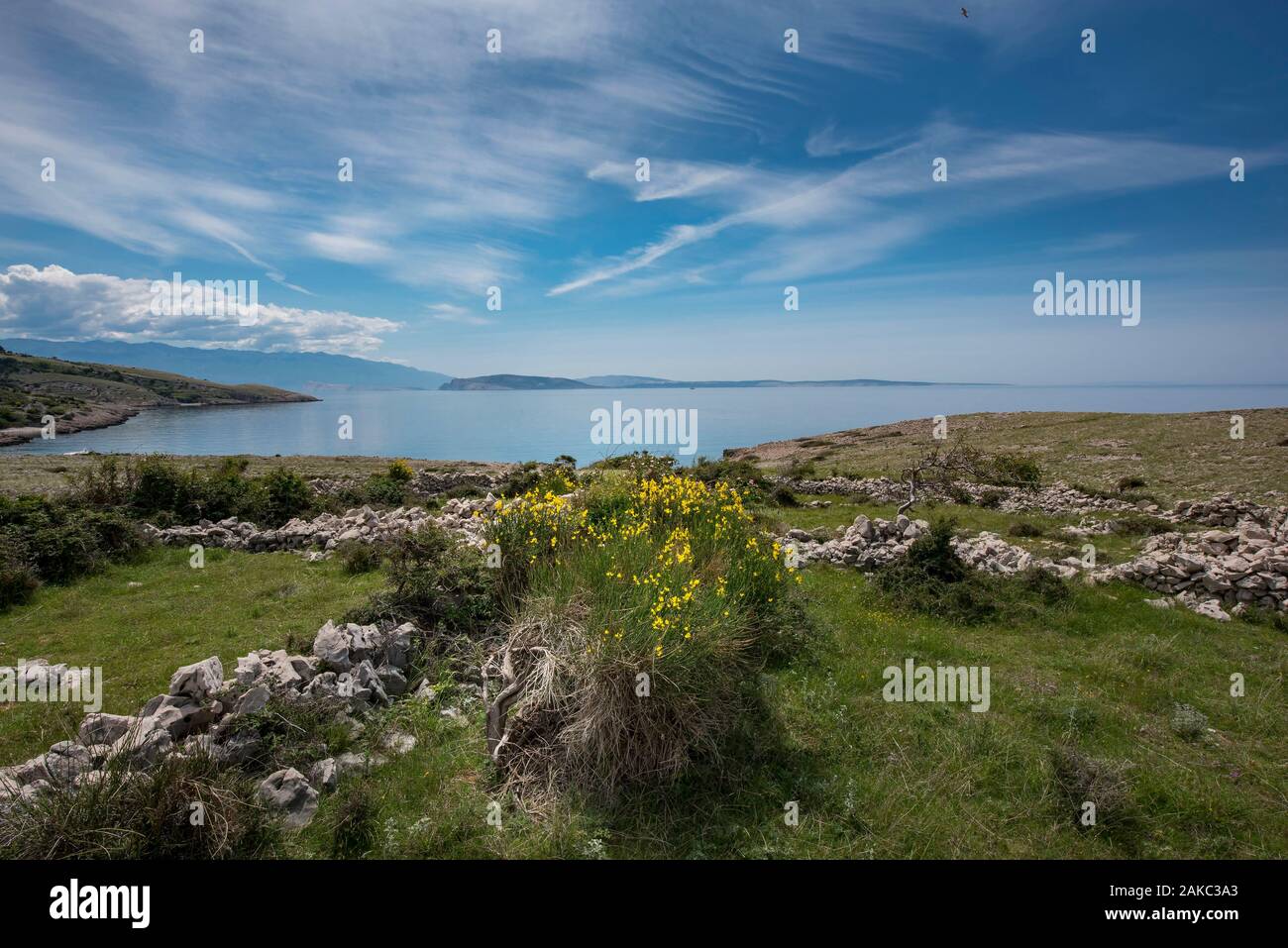 Croazia, nella contea di Primorje-Gorski Kotar, baia di Kvarner , Isola di Krk, Stara Baska, Heath vicino al Paradise beach Uvala Zala Foto Stock