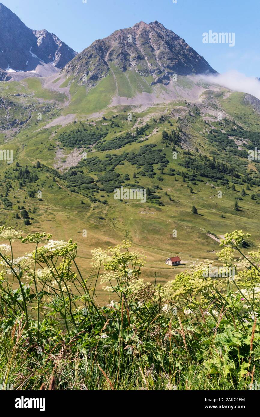 Francia, Hautes Alpes, Ecrin Parco Nazionale da giardino alpino del Lautaret pass Foto Stock