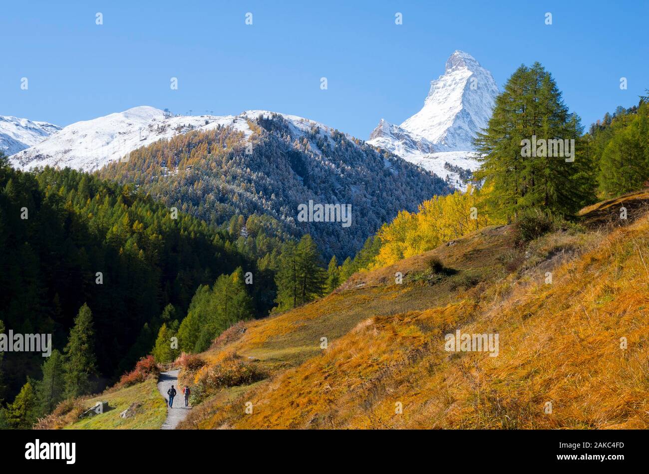 La Svizzera, Vallese, valle di Zermatt, escursionismo verso la frazione di Zmutt rivolta verso Monte Cervino Foto Stock