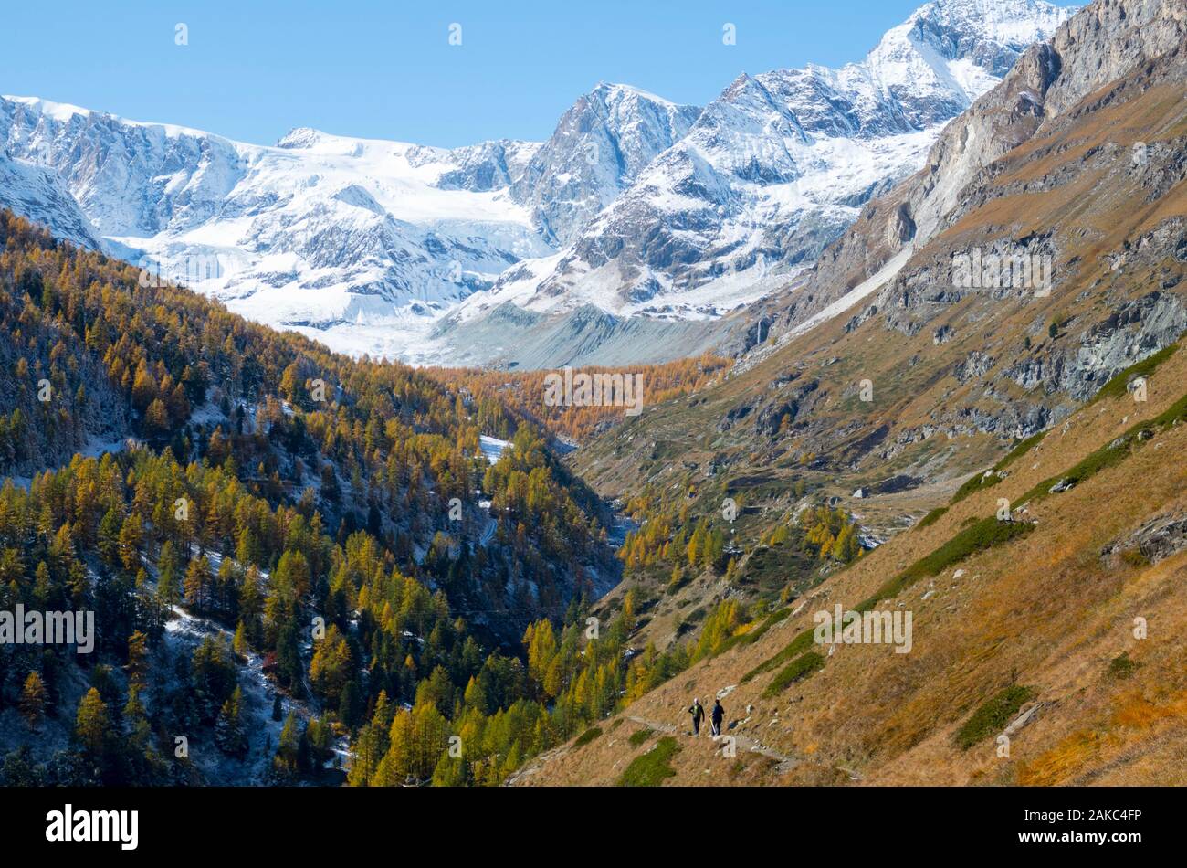 La Svizzera, Vallese, valle di Zermatt, escursionismo verso la frazione di Zmutt Foto Stock