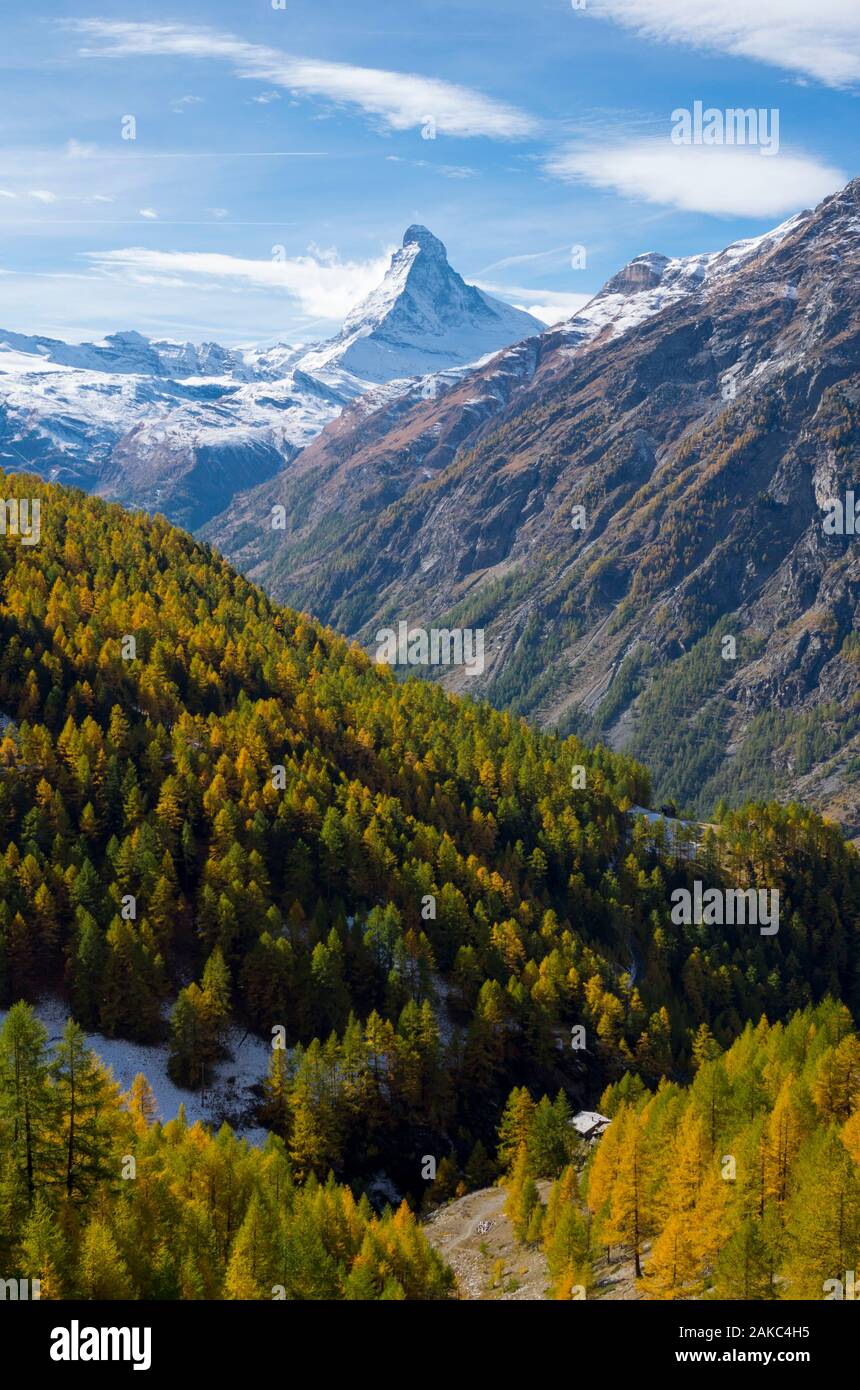 La Svizzera, Vallese, valle di Zermatt, escursionismo tra randa e Zermatt lungo Europaweg, con la più lunga del mondo pedonale ponte di sospensione (500 metri) Foto Stock