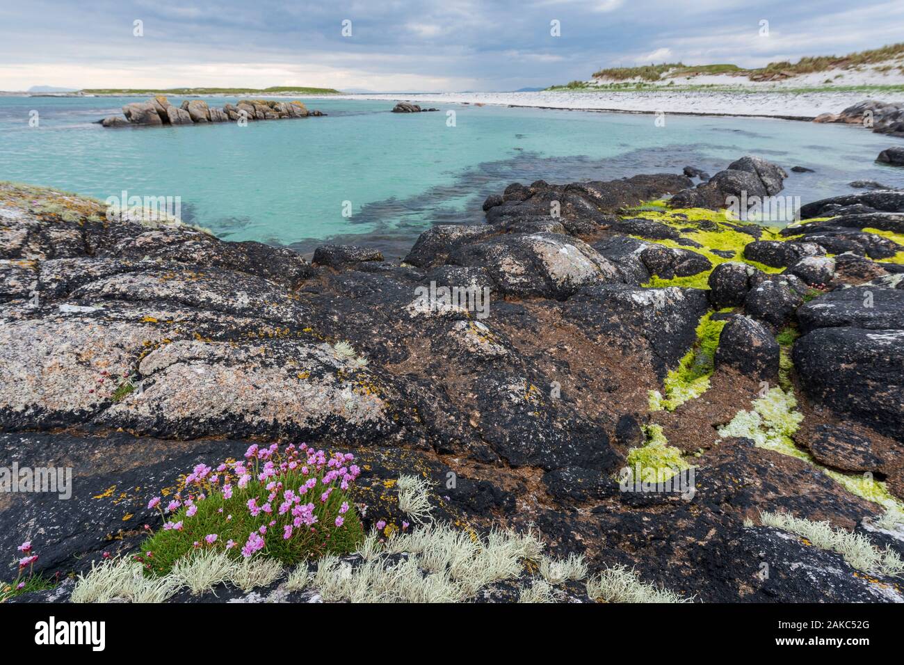 L'Irlanda, nella contea di Galway, Connemara, Rossadillisk beach Foto Stock