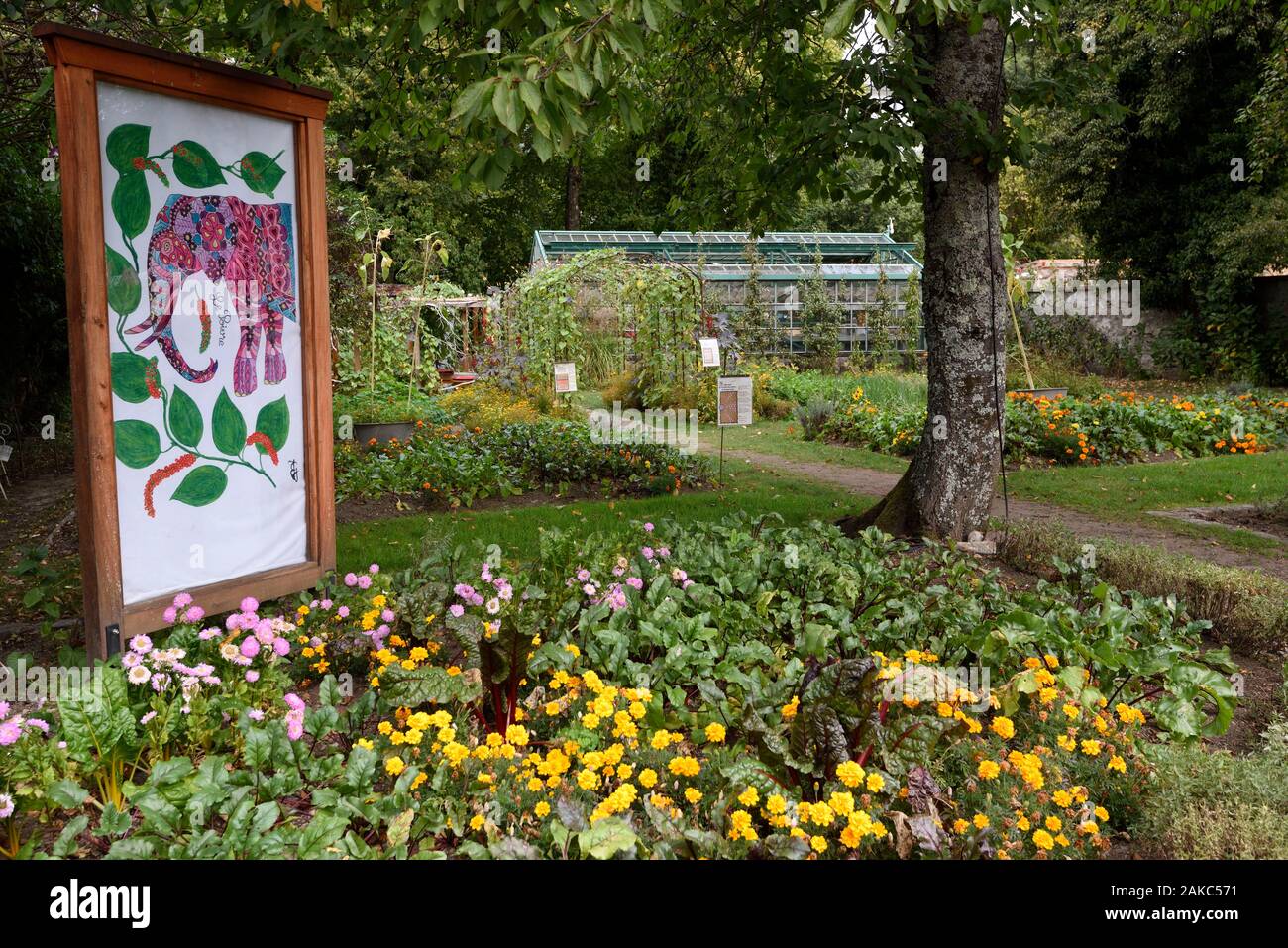 Francia, Haut Rhin, Husseren Wesserling Wesserling, Parco, giardino, India con mille volti, 2019 Foto Stock