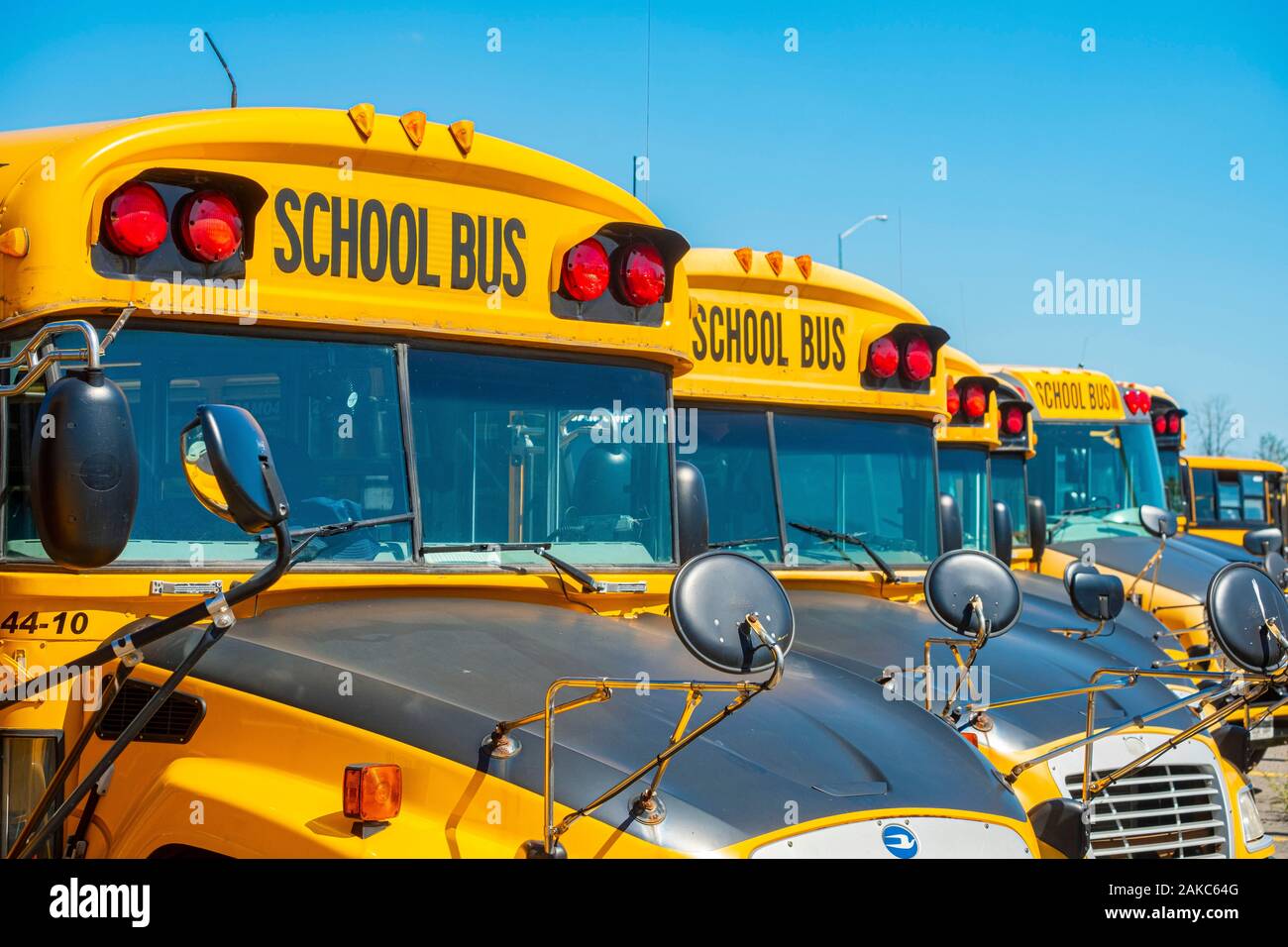 Canada, Provincia di Ontario, scuola bus Foto Stock