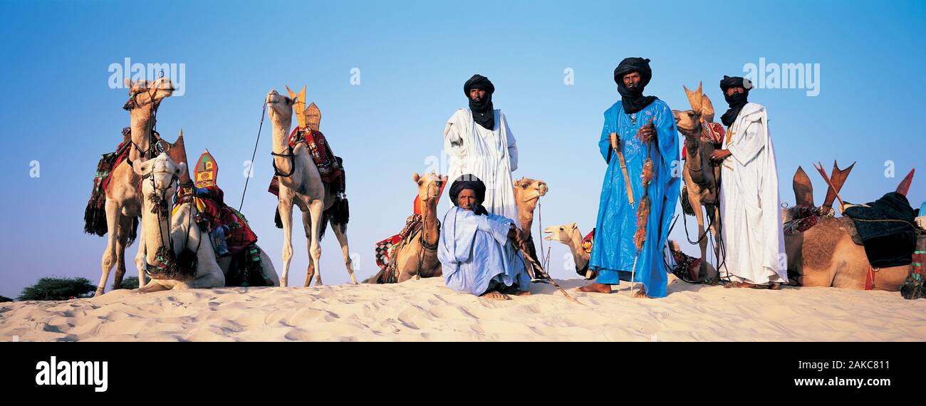 Il cammello Tuareg piloti appoggiata nel deserto, Mali, Africa Foto Stock