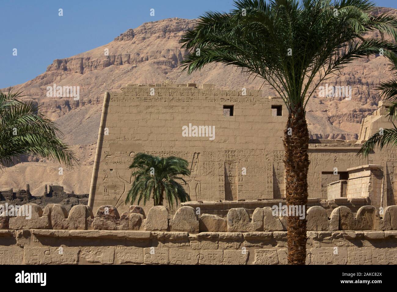 Egitto Alto Egitto, Valle del Nilo, Medinet Habu, Palm tree davanti alla facciata del tempio di milioni di anni di Ramses III decorate con il faraone e Horus Foto Stock