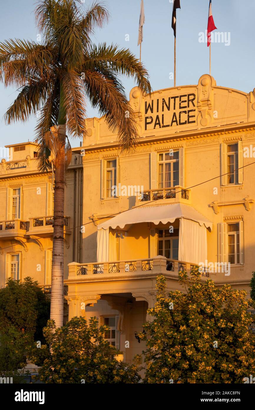 Egitto Alto Egitto, Valle del Nilo, Luxor, alta palma di fronte inverno hotel facciata in luce crepuscolo Foto Stock