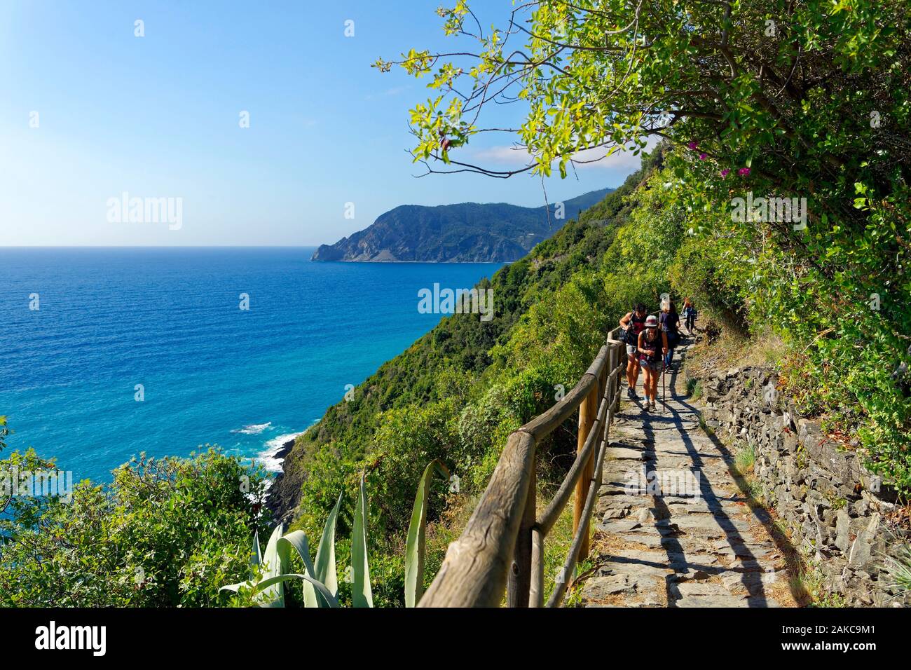 L'Italia, Liguria, provincia della Spezia, il Parco Nazionale delle Cinque Terre, elencato come patrimonio mondiale dall UNESCO, Azuverde o pedonale sentiero costiero che collega Corniglia a Monterosso Al Mare Foto Stock