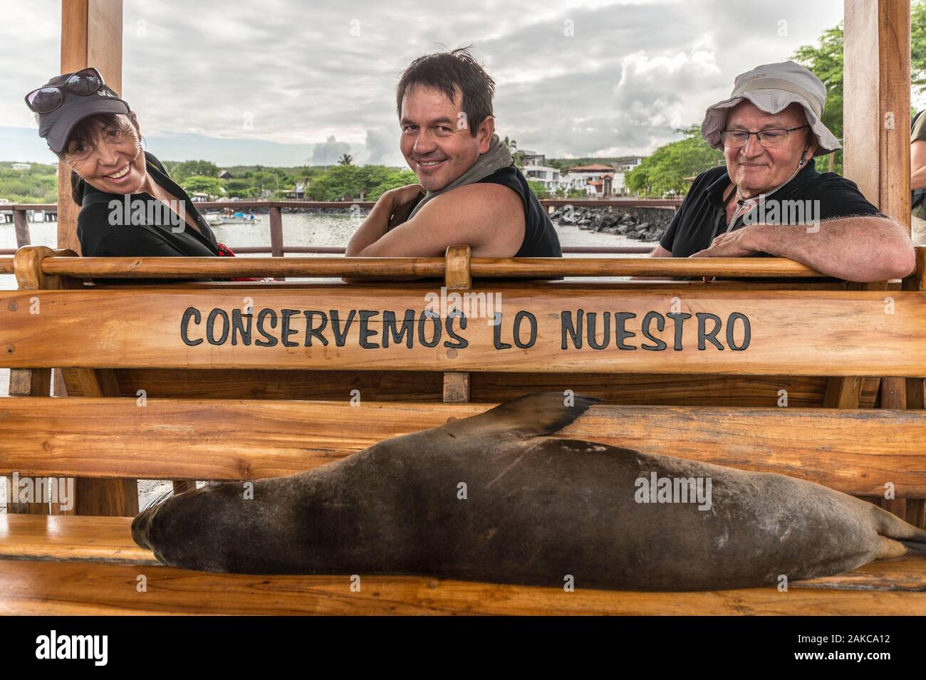 Ecuador, Galápagos arcipelago, elencato come patrimonio mondiale dall UNESCO, San Cristobal Island, Galápagos Sea Lion (Zalophus wollebaeki) poggiante su un banco di lavoro presso il porto di Puerto Baquerizo Moreno incoraggiando la protezione della natura Foto Stock