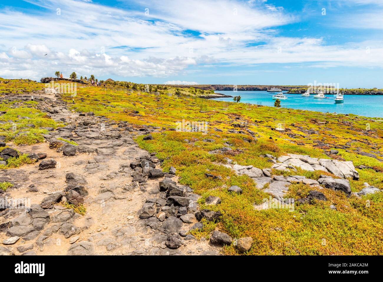 Ecuador, Arcipelago delle Galapagos, classificato come patrimonio mondiale dall UNESCO, Isola di Santa Cruz, Plaza Sud Isola Foto Stock