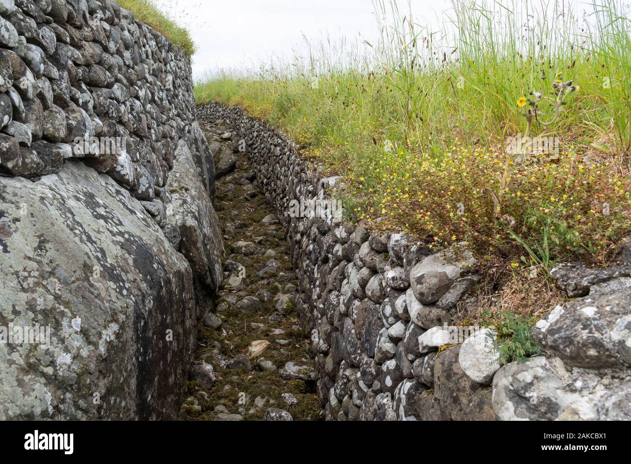 In Irlanda la contea di Meath, Bru Na Boinne sito archeologico di Newgrange a Patrimonio mondiale dell umanità dall Unesco Foto Stock