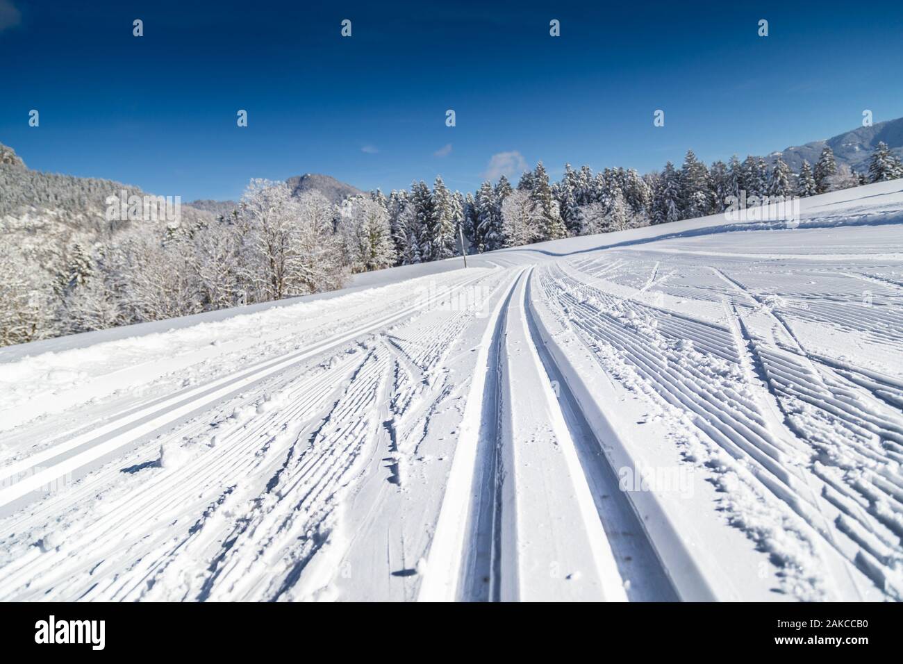 Vista ravvicinata di vuoto sci di fondo via nella bellissima winter wonderland scenario Foto Stock