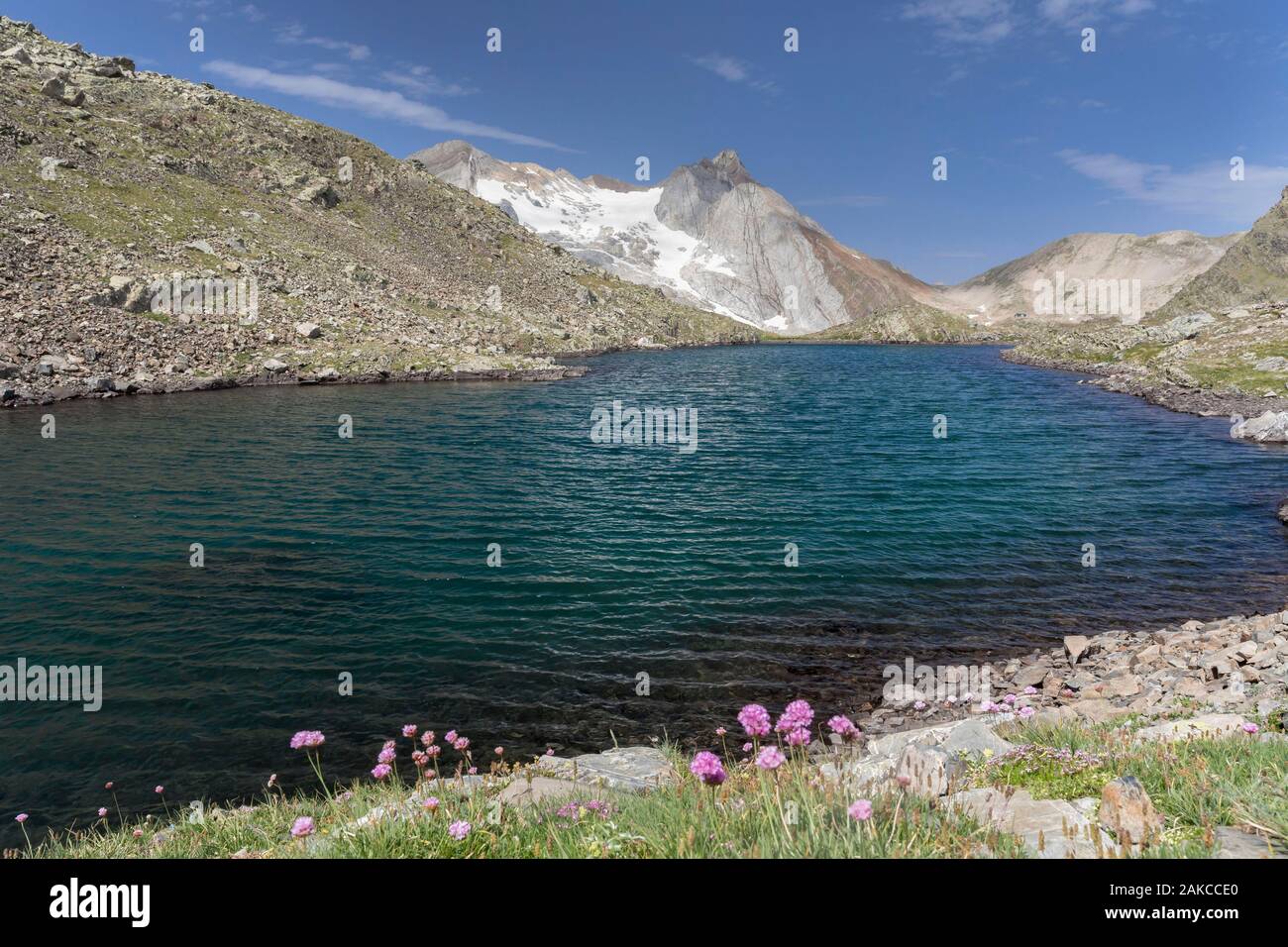 Francia, Hautes Pirenei, Cauterets, Gentianes lago e picco Vignemale 3298 m Foto Stock