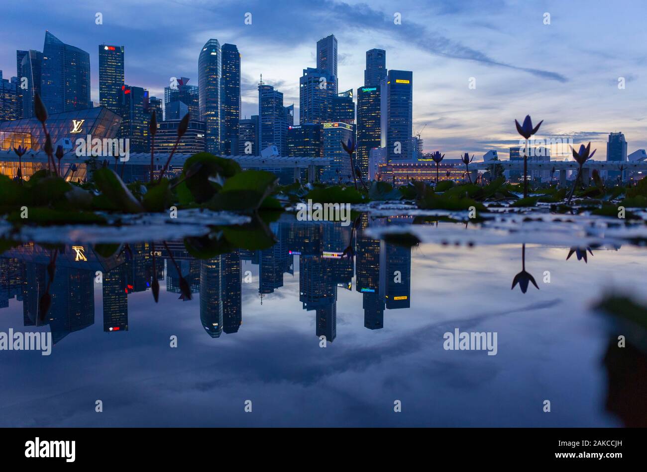 Singapore, Singapore, Marina Bay, crepuscolo Foto Stock