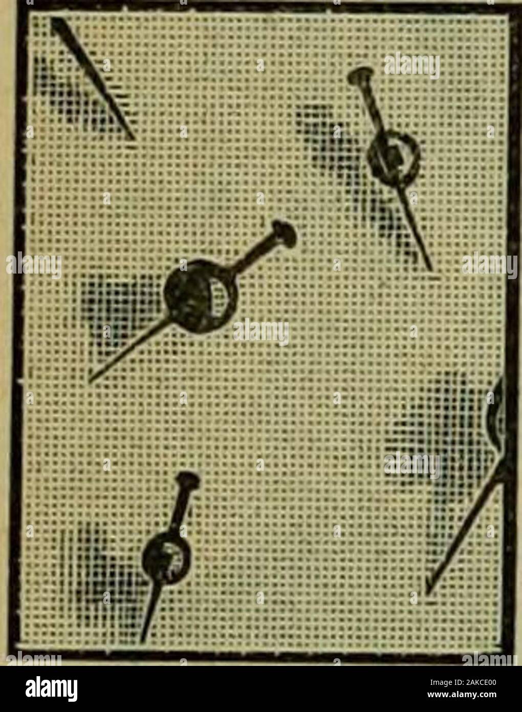 Strawbridge & Clothier's Quarterly . Il lollowing illustrazioni rappresentano thepatterns di alcuni oi nostri percalle e chintzshirts.. o o o o ? O o. 0 o n. I. n. 2. Foto Stock