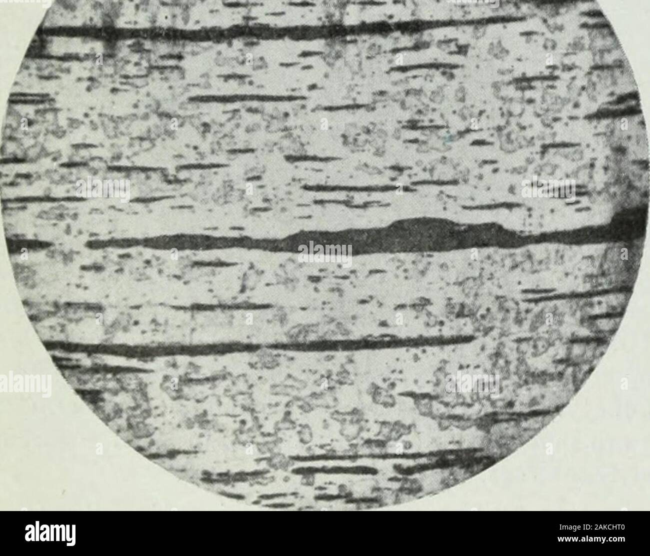 Ingegnere canadese . Figura 1. I processi provenienti al di sotto della testa di •bushelling,permettendo così come fanno i utilijation di rottame, potrebbe essere re-cesso come economizzatori, ma mentre essi hanno indubbiamente dsupporto grande e campo utile per servire questo campo dovrebbe essere thoroughlyrecognized e fatto aderire a. In breve, questi processi consistof bushelling, cioè la composizione di mazzette di rottami adatti, esottoporre un certo numero di questi pali per l'azione di riscaldamento forno ofa alquanto simile nella costruzione di un forno di copertura. Quando il rottame diventa più o meno pastoso, esso istaken fuori e ha lavorato in una certa misura in t Foto Stock