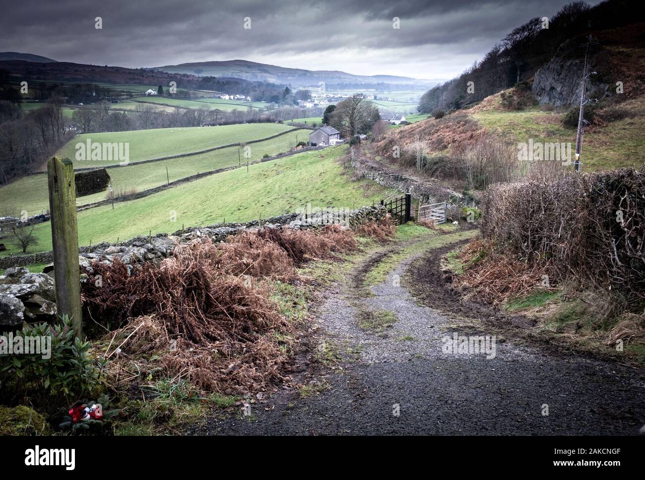 La vita è un viaggio. La via scende da Colton Hill nel Crake Valley in quanto viene eseguito il backup nel Lake District fells alla fonte a th Foto Stock