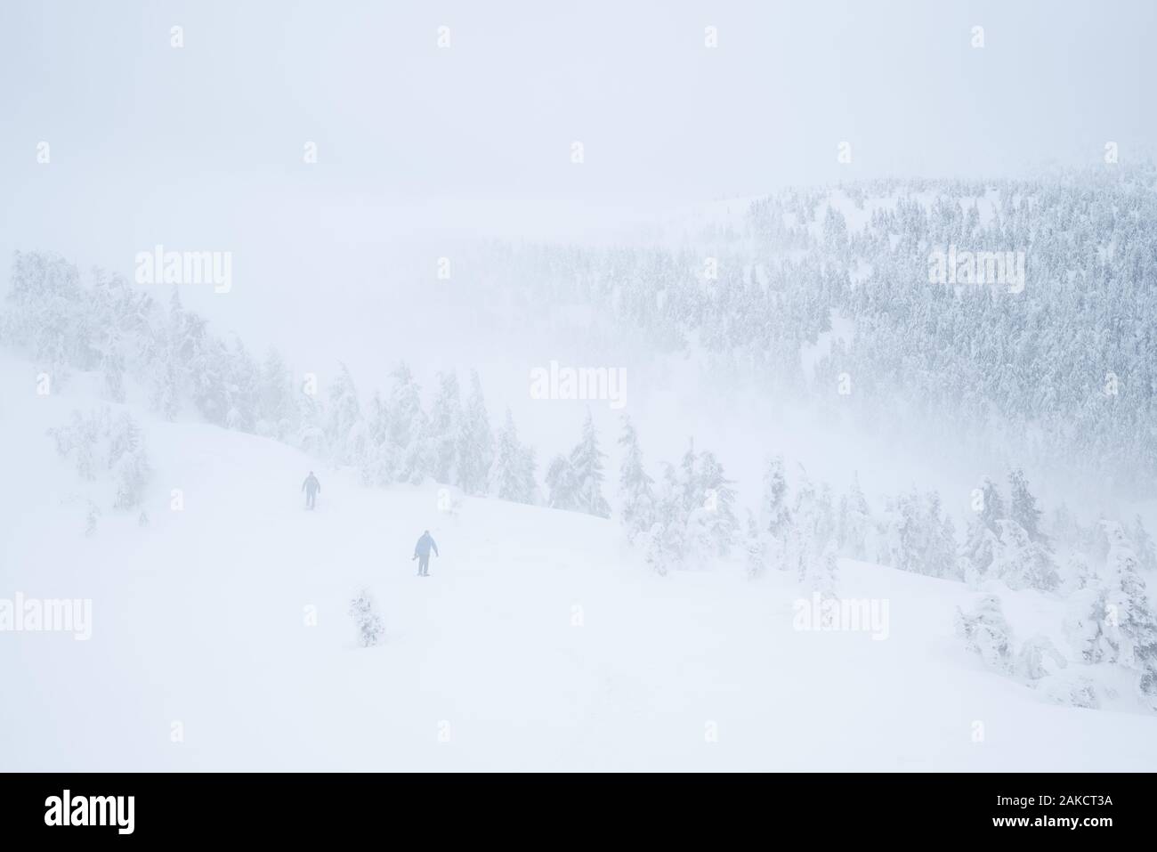 Bassa visibilità con la nebbia in montagna. Turisti persi in una escursione invernale. Cattivo tempo Foto Stock