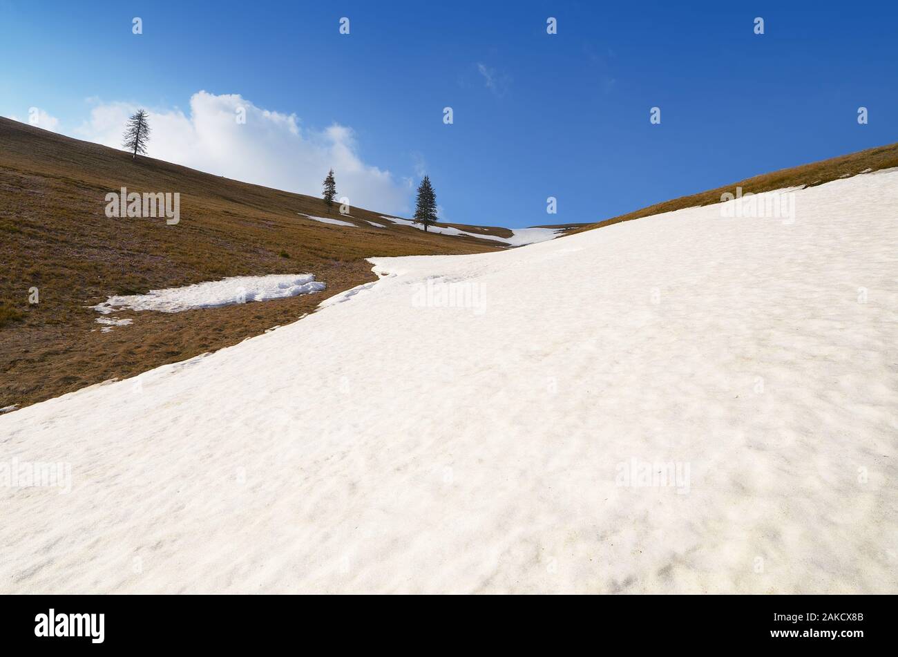 Primavera in montagna. Ultima neve di primavera Foto Stock