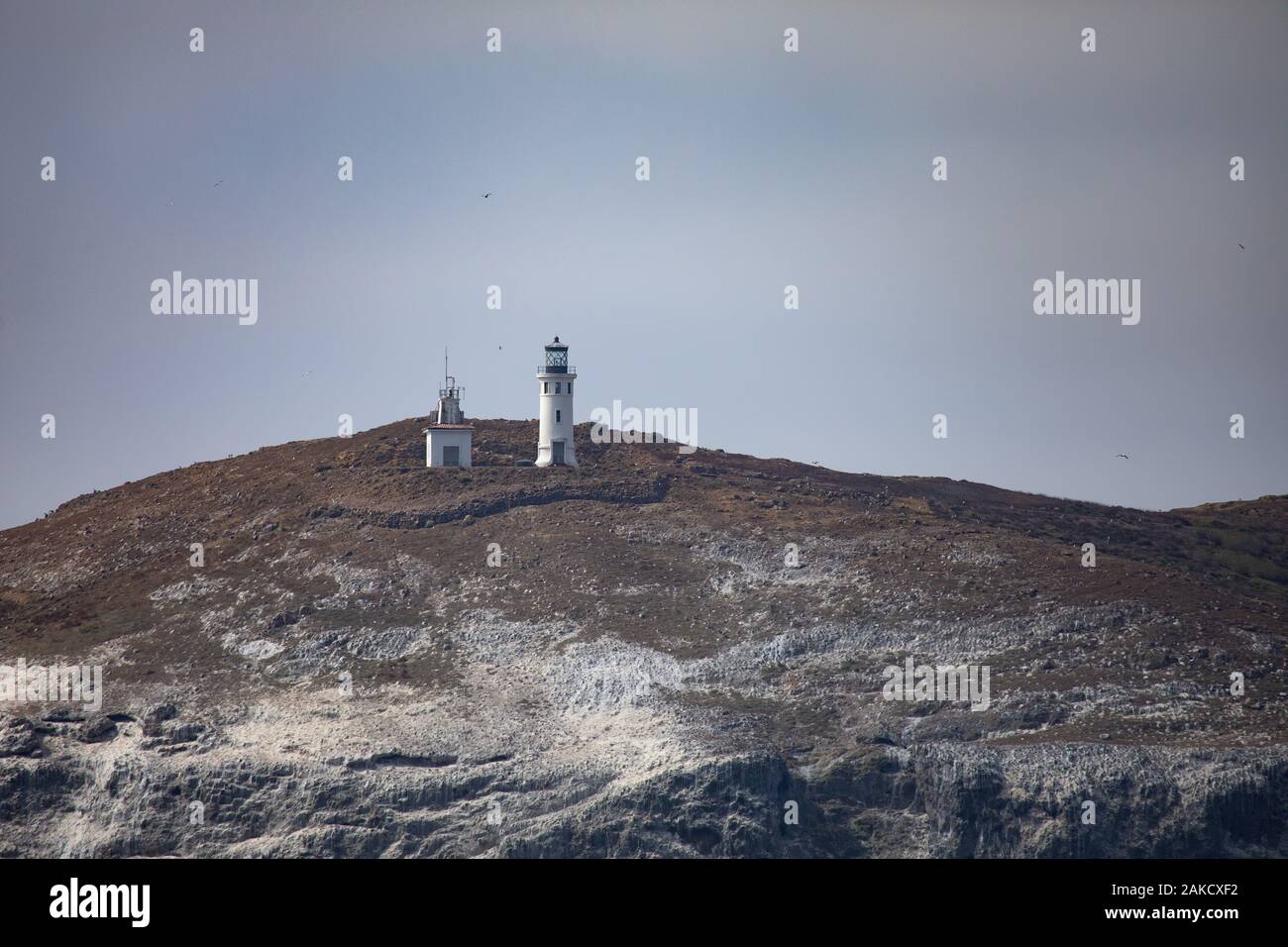 Isole del canale Foto Stock